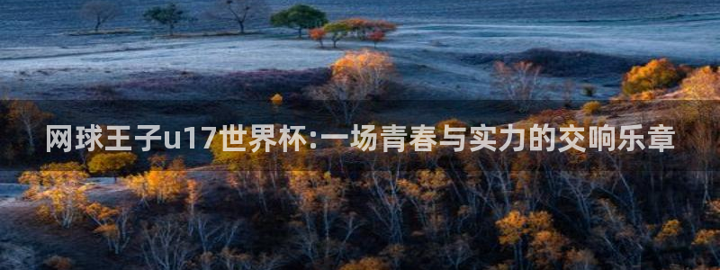 世界杯今日赛程直播:网球王子u17世界杯:一场青春与实力的交响乐章