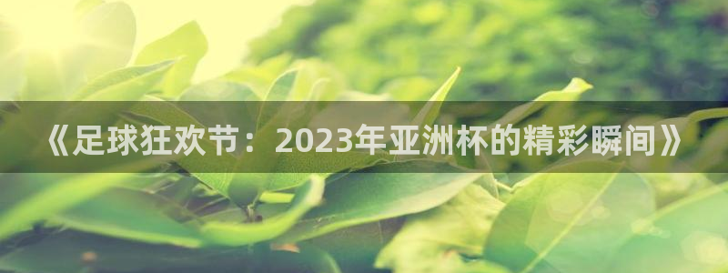 英足总杯直播:《足球狂欢节:2023年亚洲杯的精彩瞬间》