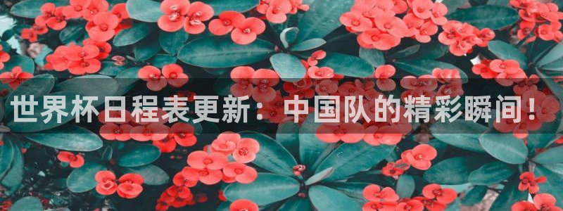 2026世界杯赛制:世界杯日程表更新:中国队的精彩瞬间!
