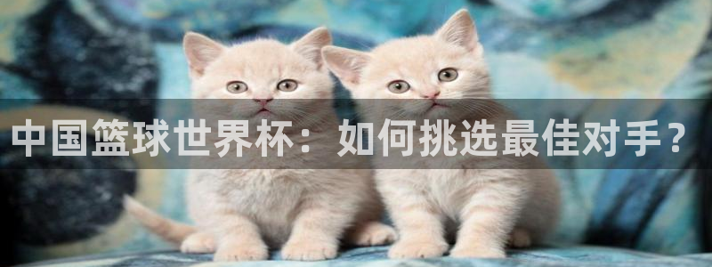 世界杯足球比赛:中国篮球世界杯:如何挑选最佳对手?